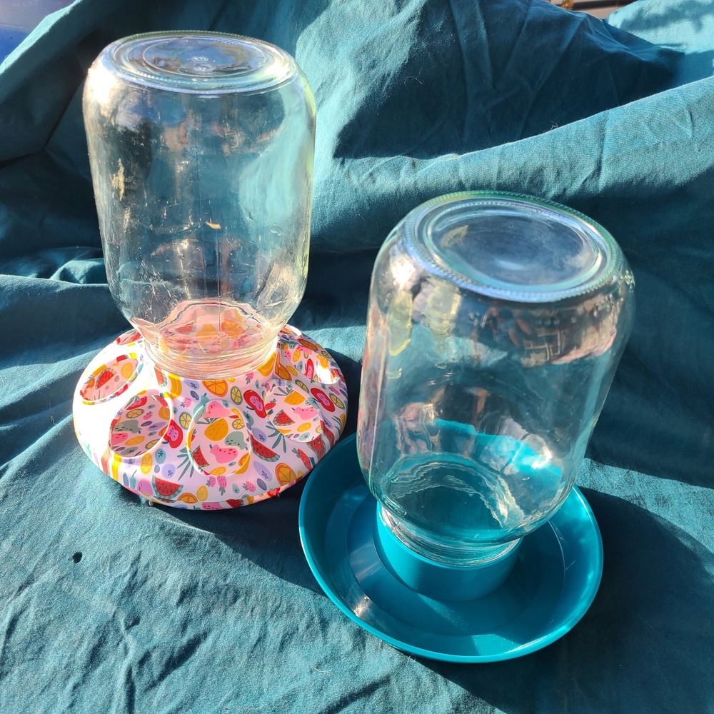 Impeckables Feeder Waterer Set Chicks  Quart Size Teal Fruit Print Brooder Setup